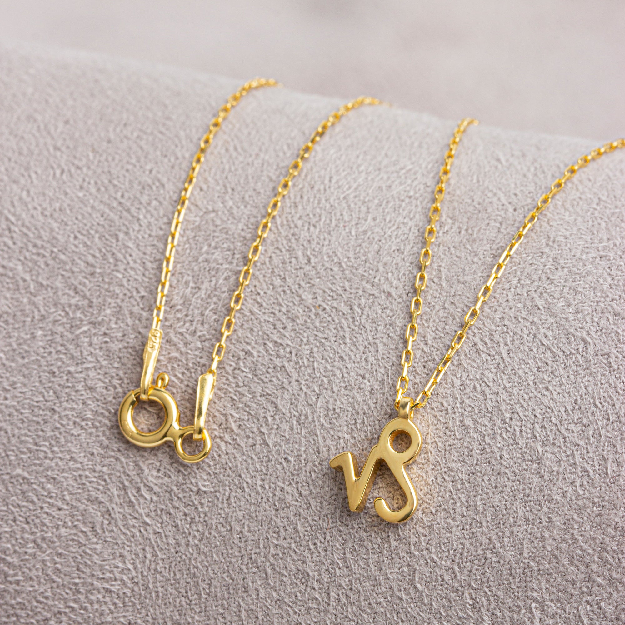 Capricorn Zodiac Sign in 14K Solid Gold Necklace | Minimalist Horoscope Symbol Queen Jewelry Necklace