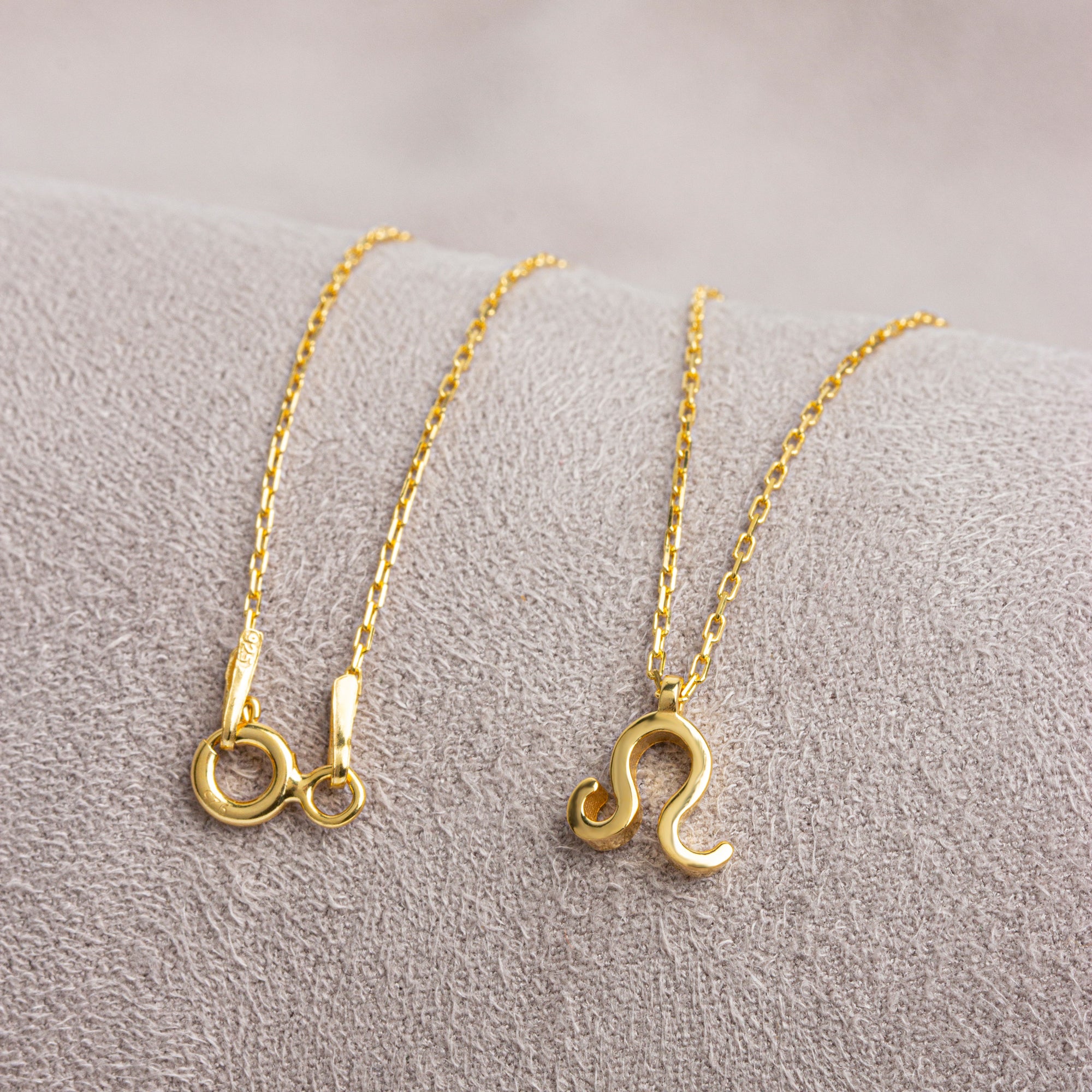 Leo Zodiac Sign in 14K Solid Gold Necklace | Minimalist Horoscope Symbol Queen Jewelry Necklace