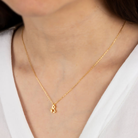 Capricorn Zodiac Sign in 14K Solid Gold Necklace | Minimalist Horoscope Symbol Queen Jewelry Necklace